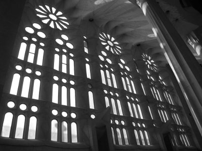 Window